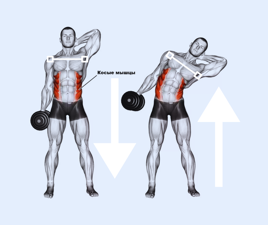 боковые наклоны с гантелями