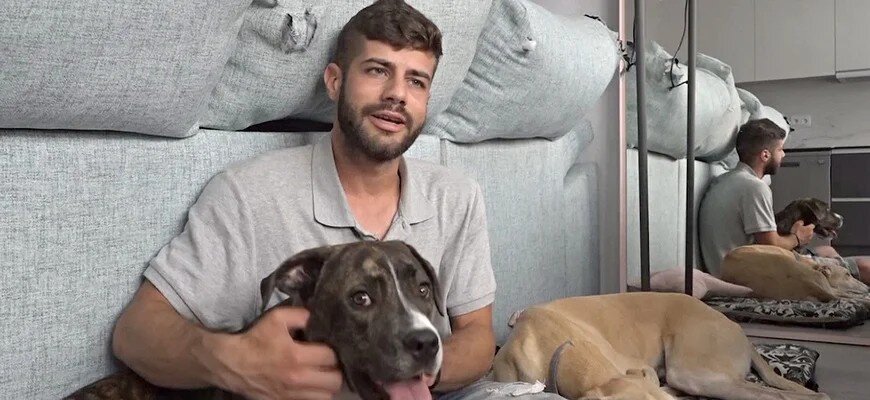 В Испании число домашних животных возросло за время пандемии Covid-19