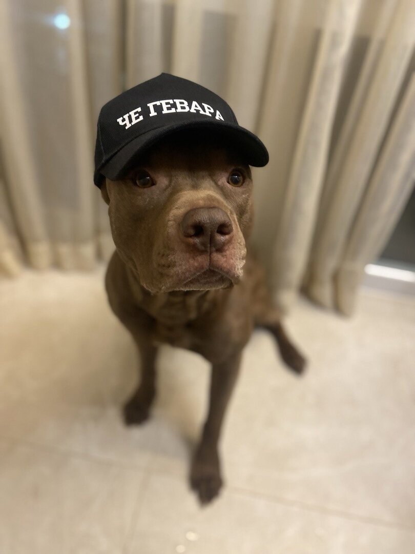 ЧЕ ГЕВАРА РПП