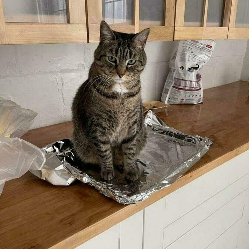 16 Ð·Ð°Ð±Ð°Ð²Ð½ÑÑ ÑÐ½Ð¸Ð¼ÐºÐ¾Ð² Ð¿Ð¸ÑÐ¾Ð¼ÑÐµÐ², ÐºÐ¾ÑÐ¾ÑÑÐµ Ð¸ÑÐºÑÐµÐ½Ð½Ðµ Ð½Ðµ Ð¿Ð¾Ð½Ð¸Ð¼Ð°ÑÑ, Ð·Ð° ÑÑÐ¾ Ð¸Ñ ÑÑÐ³Ð°ÑÑ