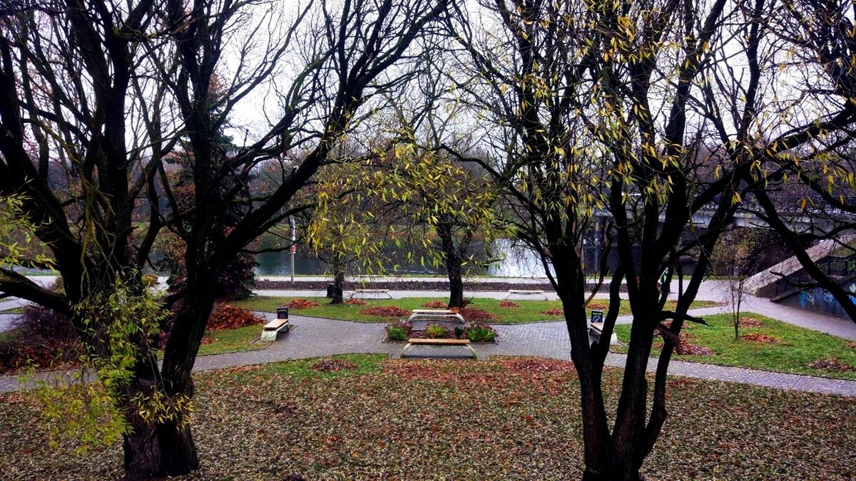 Осенний городской пейзаж. Сквер на набережной реки Ловать. Фото М.Трубнякова