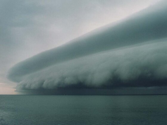    Тайфун Ecofiscal.ca