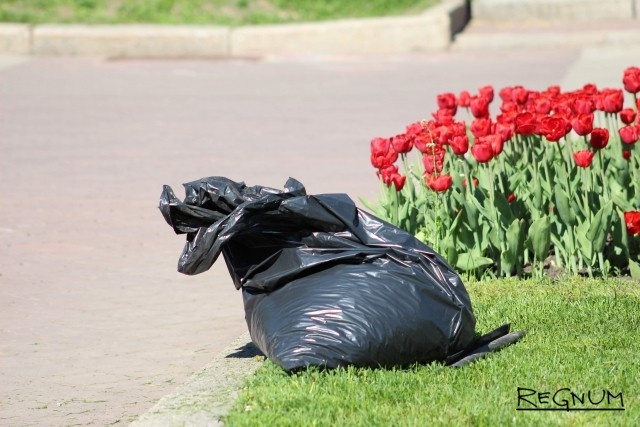    Пакет Зоя Емельянова © ИА REGNUM