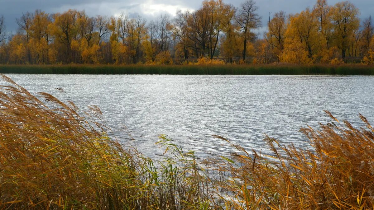 Во многих городах России в октябре ожидается резкое похолодание. Фото: Pxfuel.com