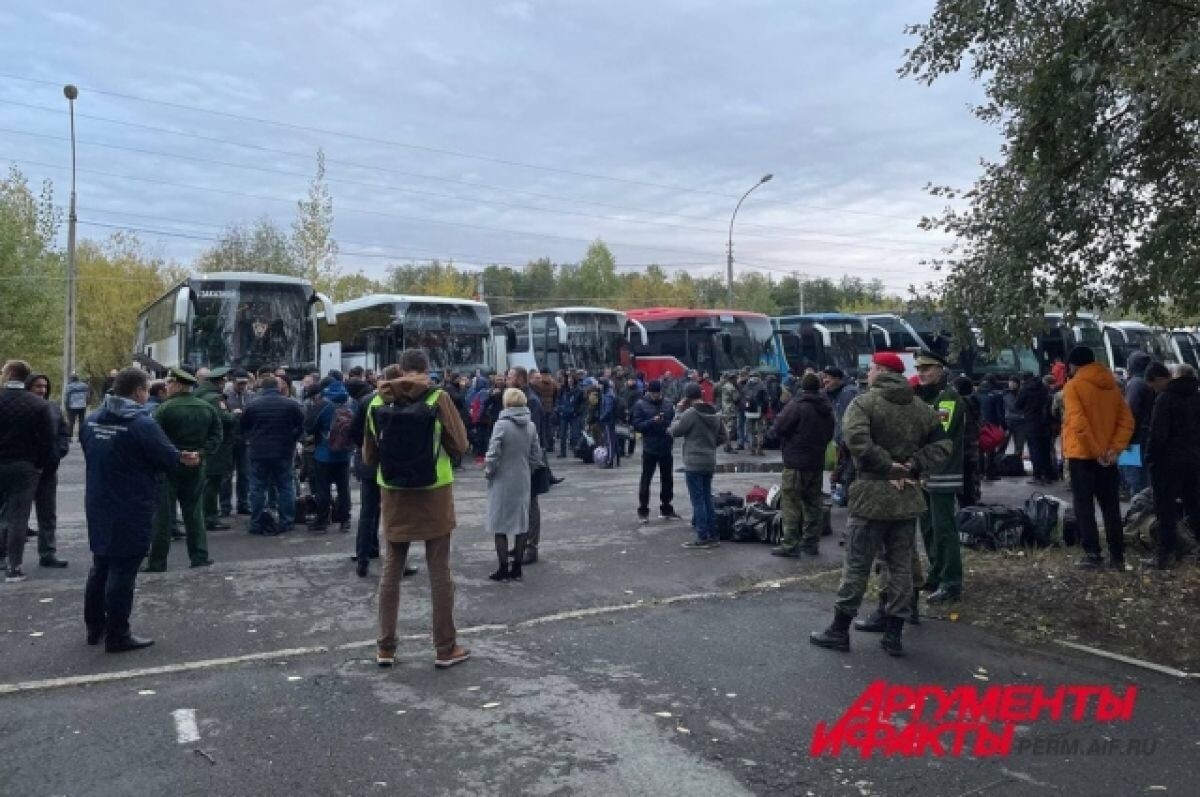   Стало известно, на что жалуются мобилизованные из Прикамья