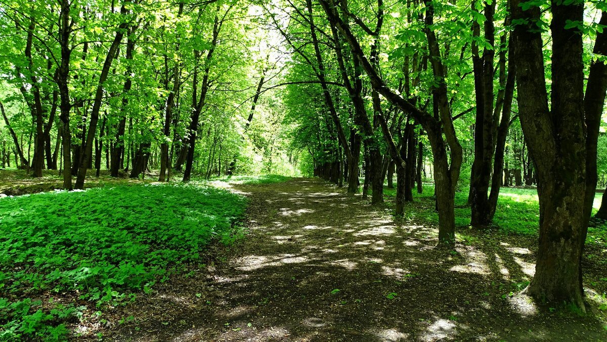 Девочка-девочка, дай свою ручку, я отведу тебя домой. Мадам Реадова,  призрак Реадовского парка | Паранормальные байки | Дзен