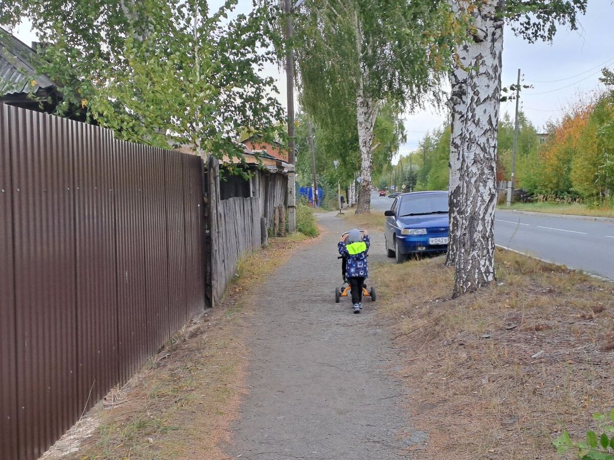 Мамин котик везет сладкую булочку в магазин 😎