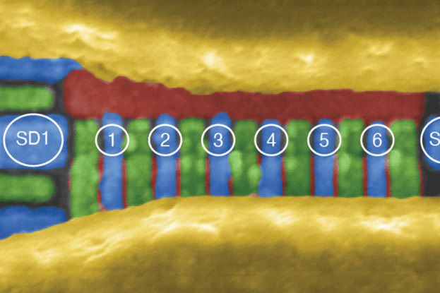     Создан рекордный 6-кубитный процессор на кремнии: вот на что он способен