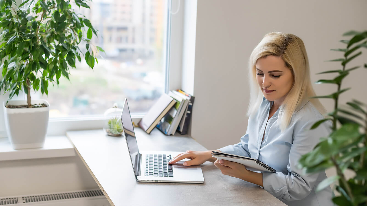 Фото из открытых источников Yandex.ru