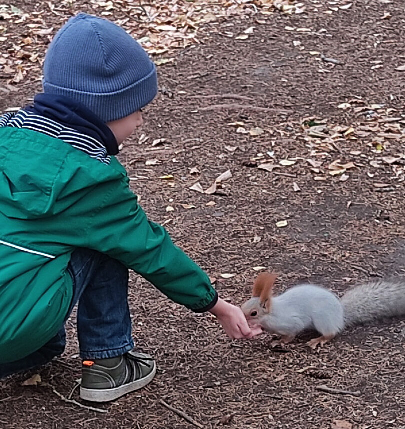 Роман с белкой