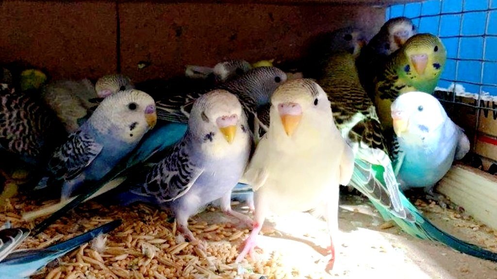    Фото Уральского таможенного управления