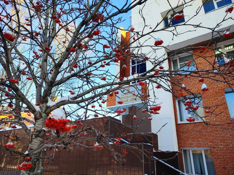     Утверждено обвинительное заключение по делу 30-летнего жителя Каргаска. Фото: пресс-служба прокуратуры Томской области