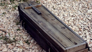    Фото: twitter.com Анастасия Волова