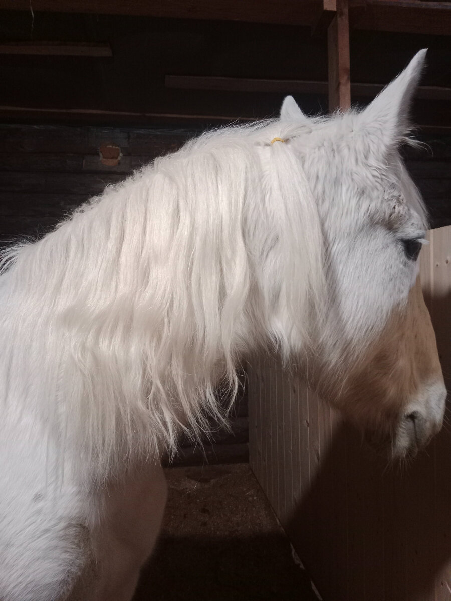 Мамка рядом