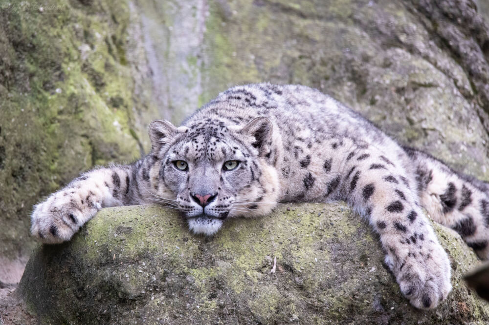 Консультирую по дате рождения, по Жизненной и Кармической программе, пишите в л.с.