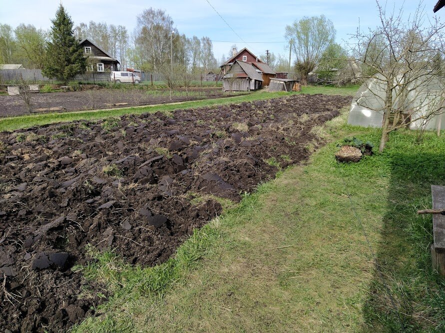 Из личного архива. Пашем землю.