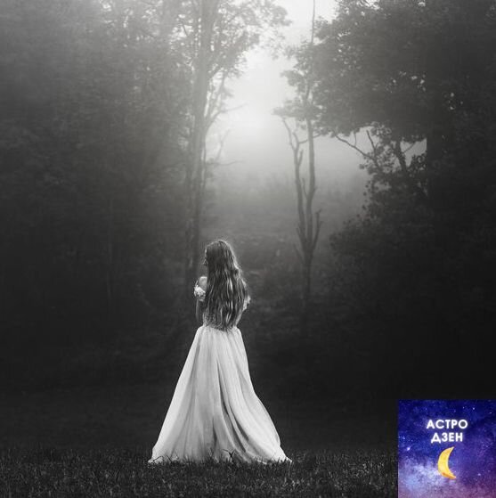 Подписывайтесь на мой канал!