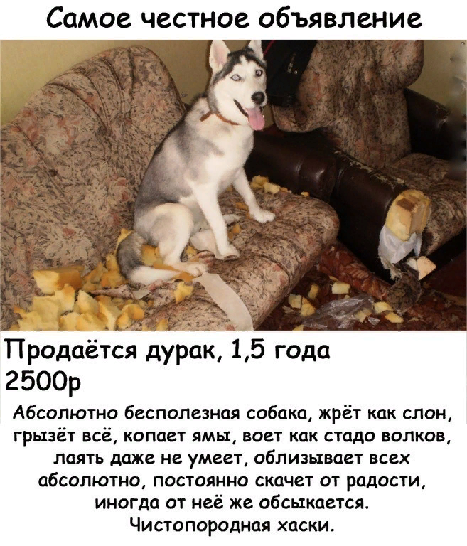 Фото из открытых источников Яндекс