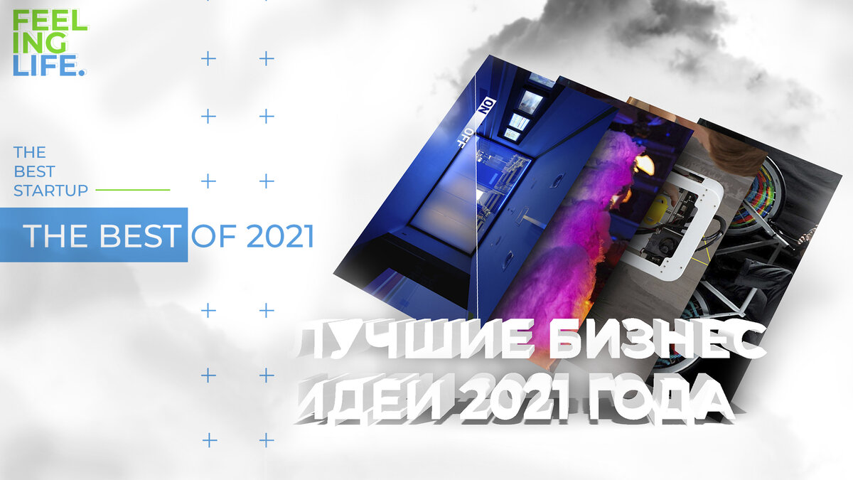 Feeling life - инвестиции в знания