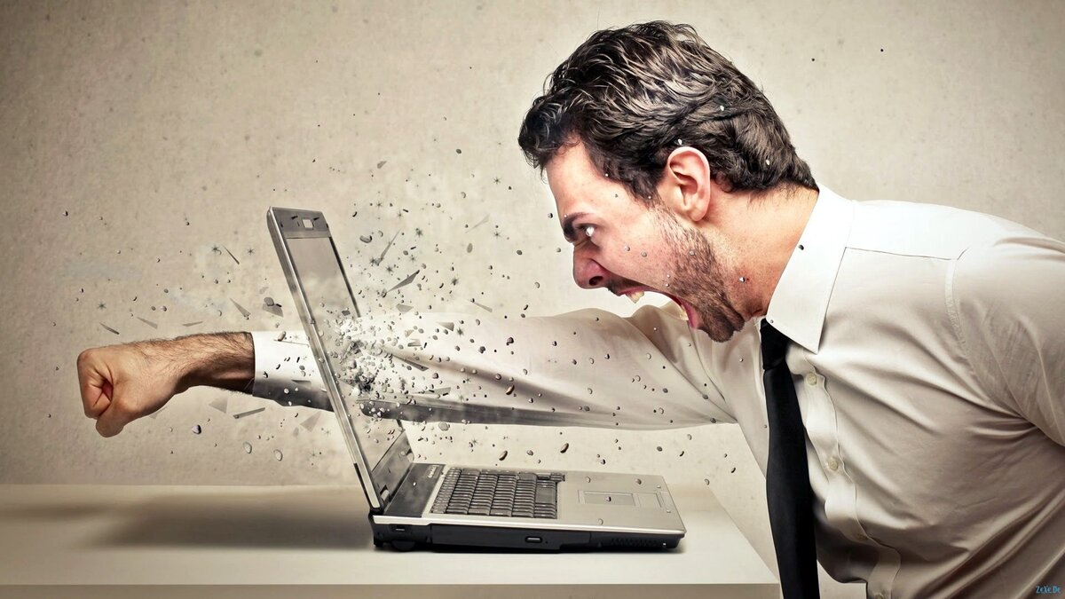 Фото из открытых источников.