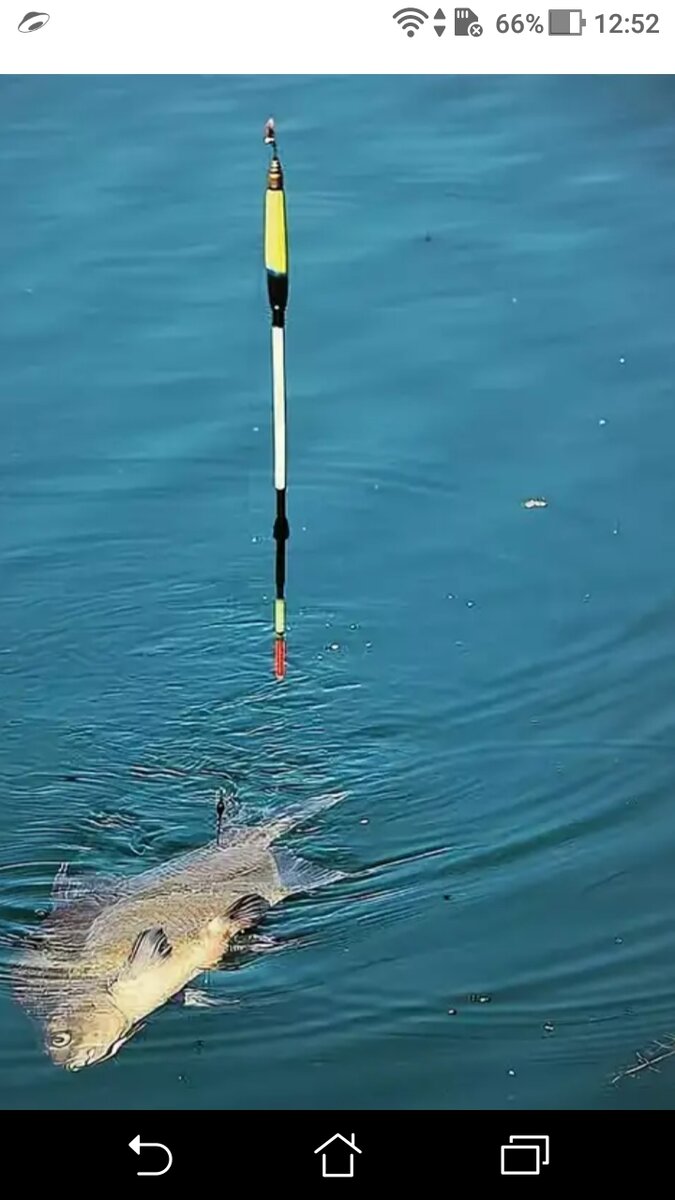 фото Монтаж снасти на подлещика - поплавочная удочка на леща