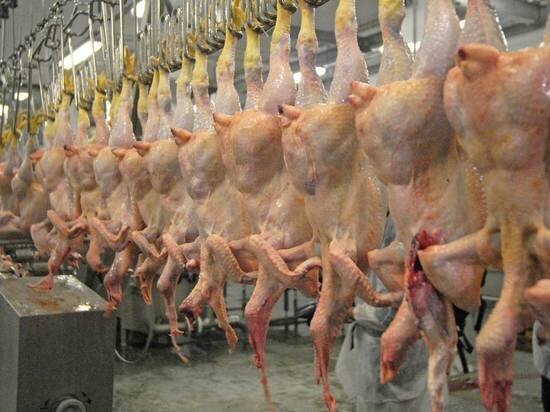  ФОТО: МИХАИЛ КОВАЛЕВ