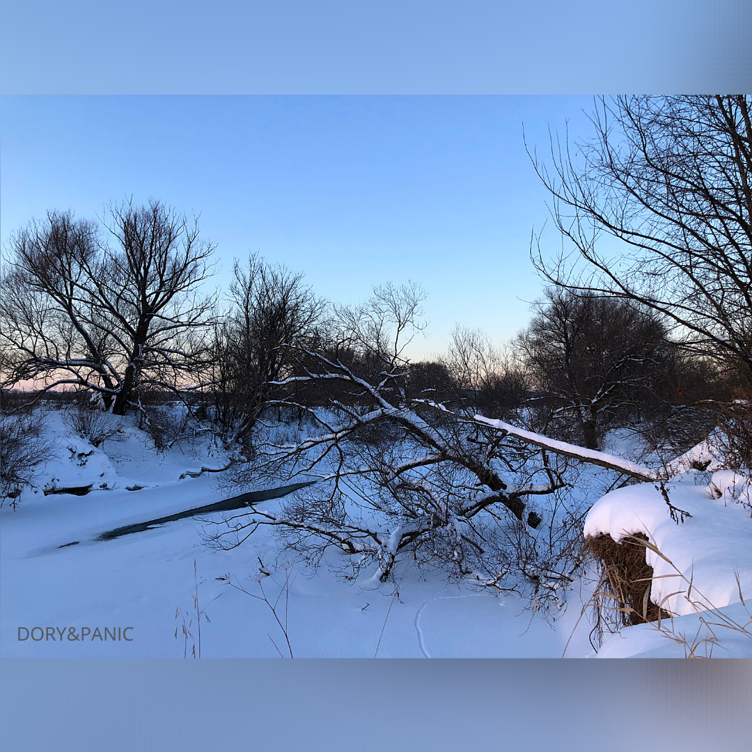  Тёплые ключи не дают реке заснуть    Instagram dory_panic