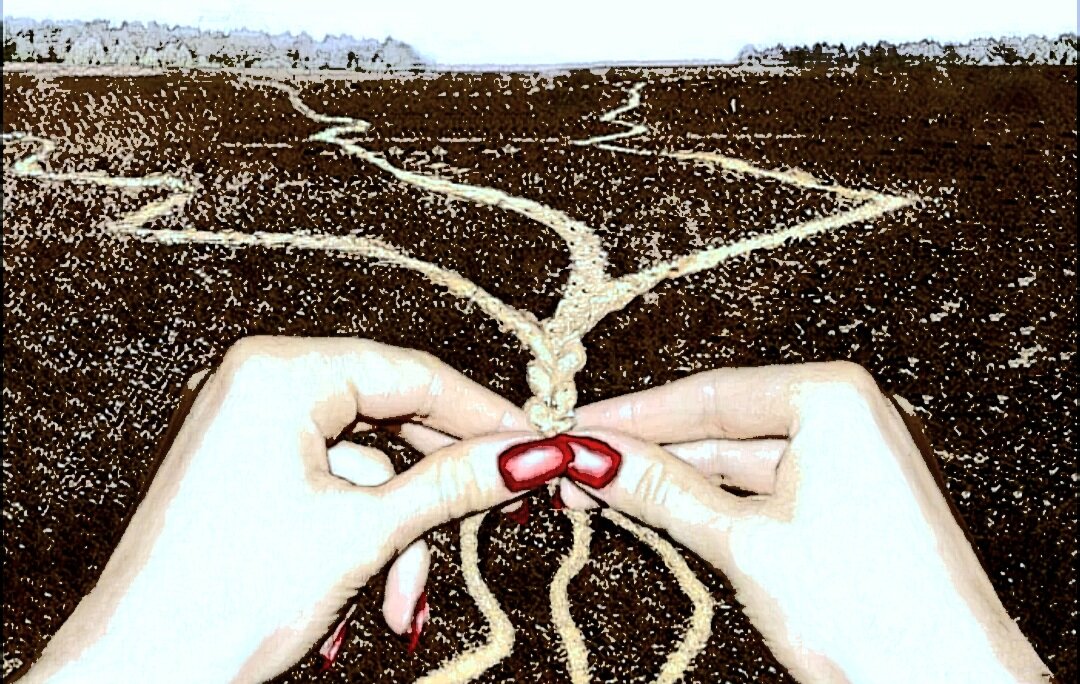 Из интернета