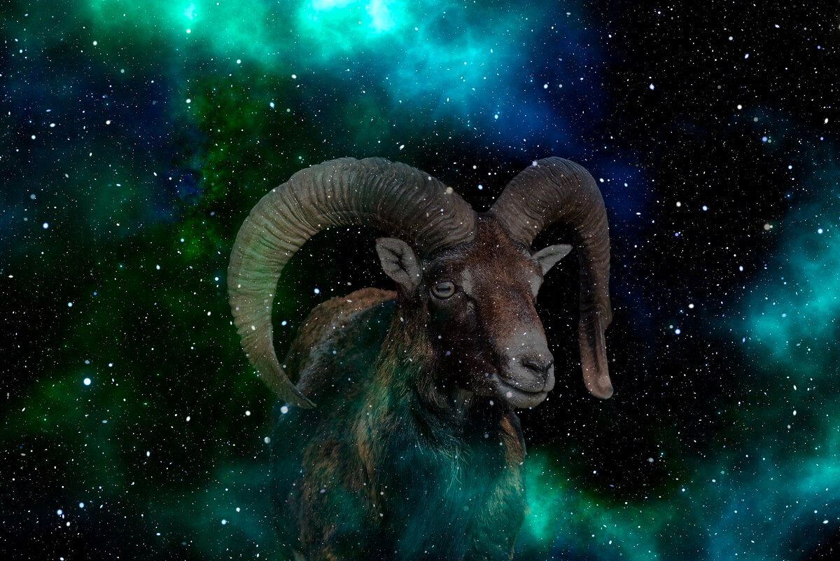 мужчина овен