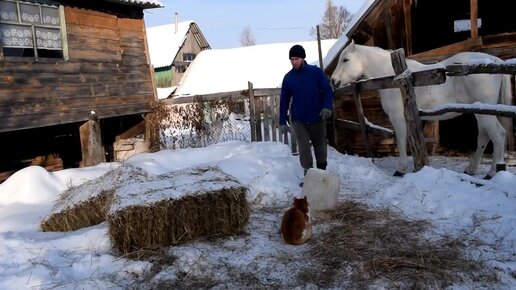 Жизнь в деревне. Отдали козочку за зерно. Деревенские будни