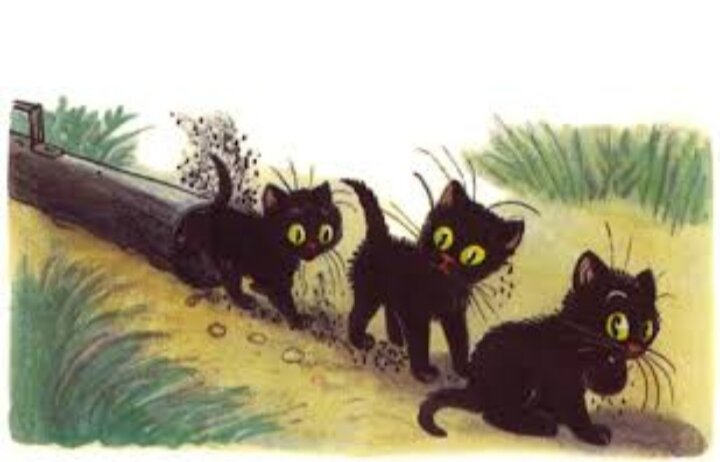 Источник Яндекс. Картинки