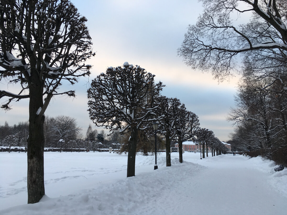 Аллеи усадьбы