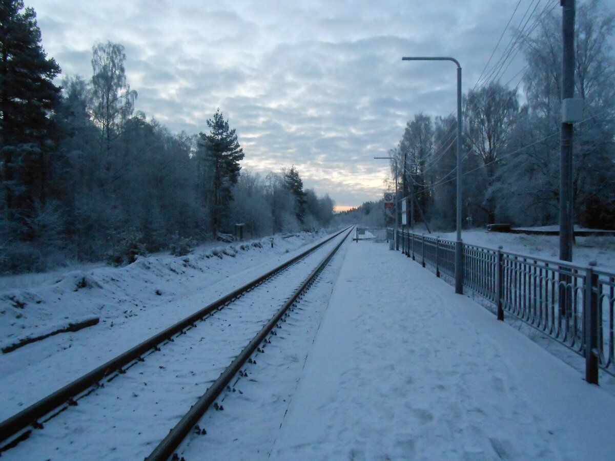 На электричке, а потом ножками )))