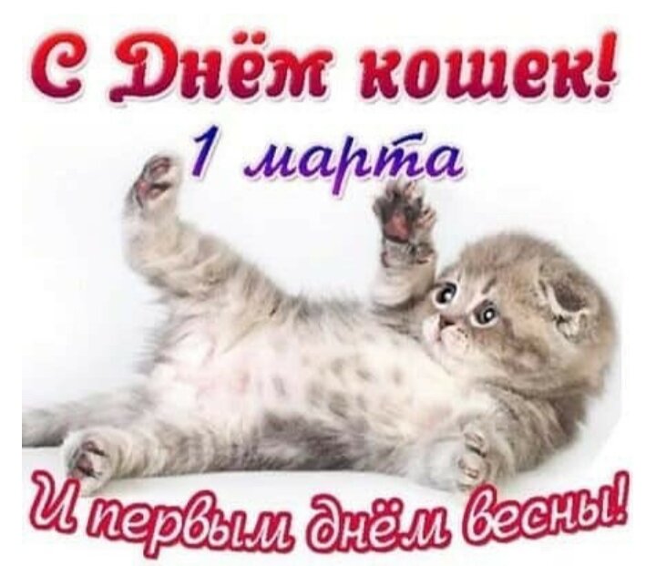 Источник Яндекс. Картинки 