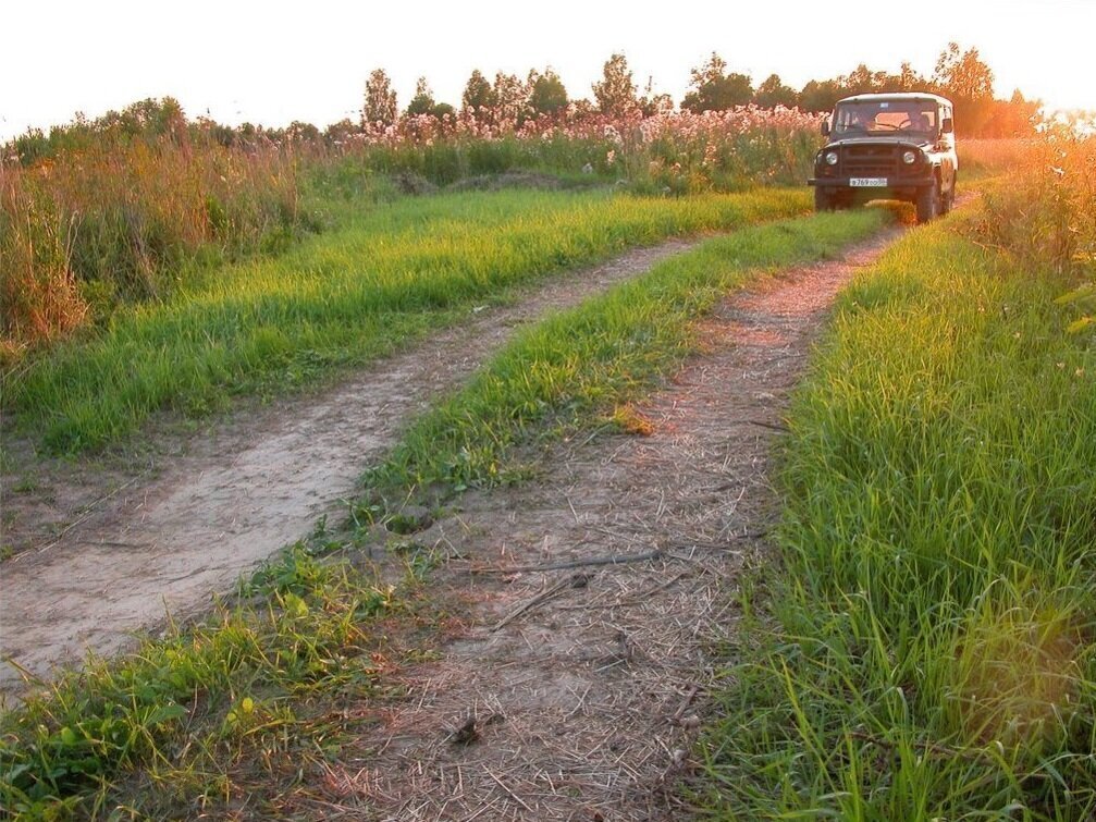 Яндекс Картинки