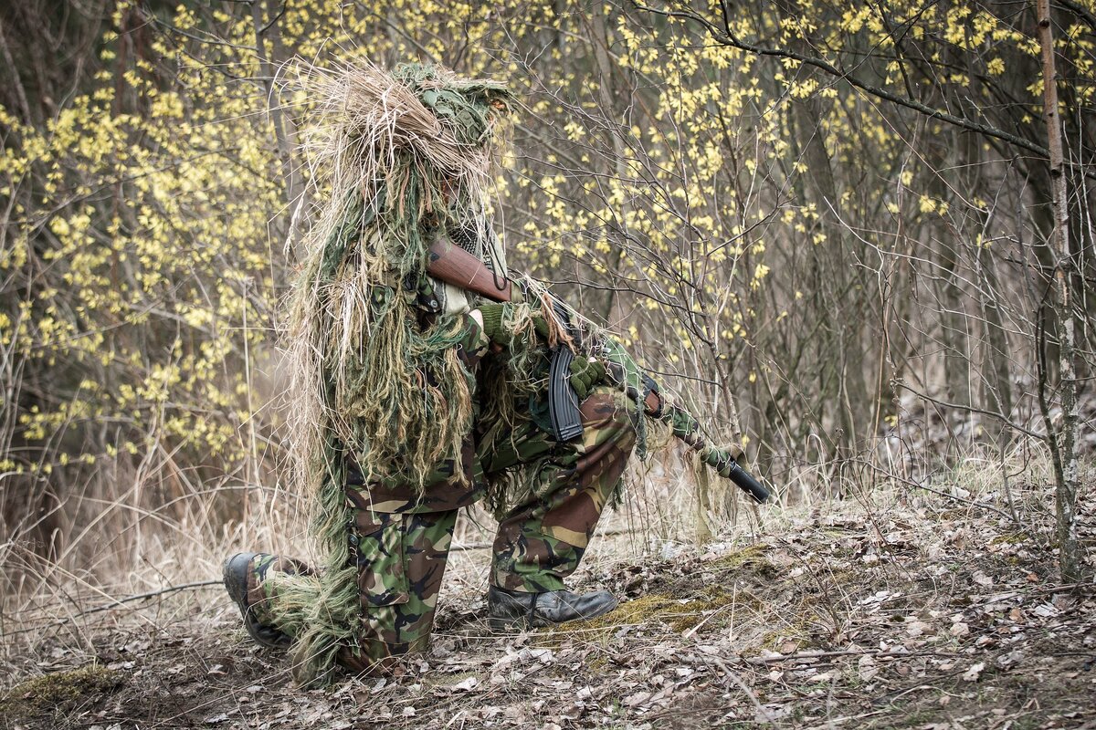 Фотография из открытого источника интернет.