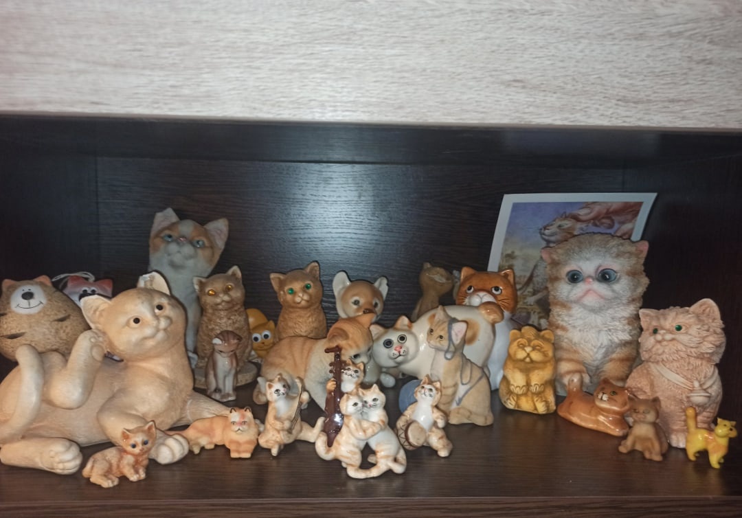 Моя коллекция