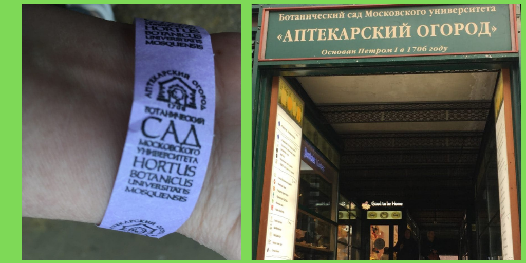 Выдали такой пропуск на руку  и  вперед