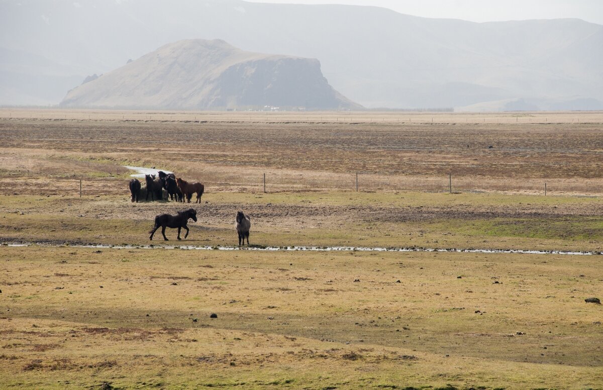 Тут еще осень, а у побережья весна и зелень