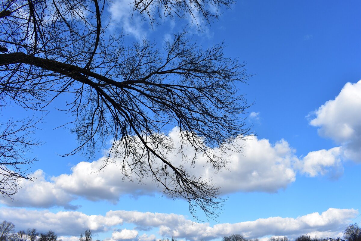 это авторское фото можно купить со скидкой 50% напишите в ЛС