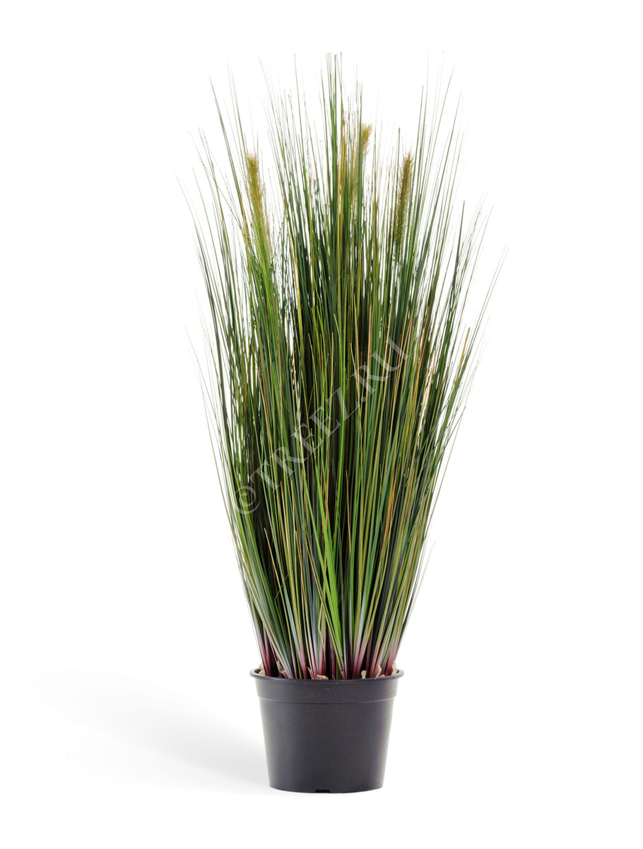 Искусственная осока