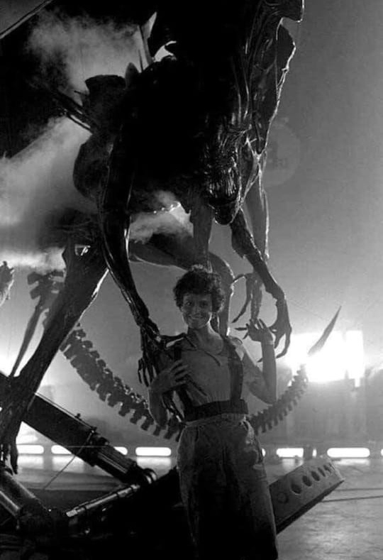 когда любишь, различия уже не так важны