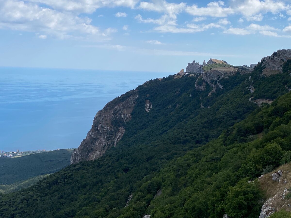 Ай Петри с собакой