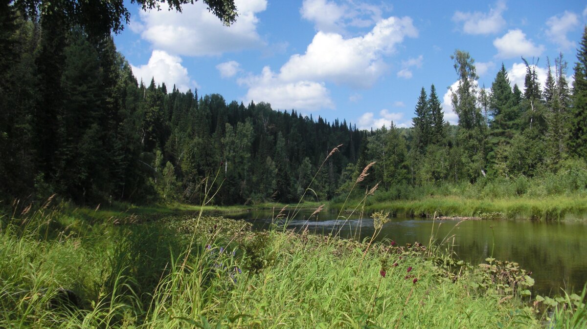 ближайший населенный пункт в 25 км ниже по реке, выше километров на 150 только тайга и горы