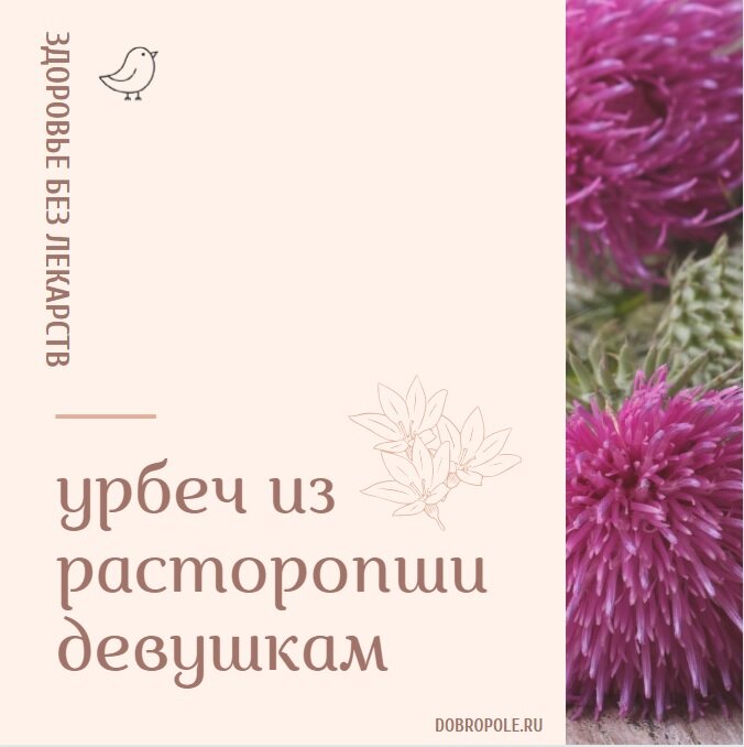 урбеч  - паста из перетергтых  цельных семян 