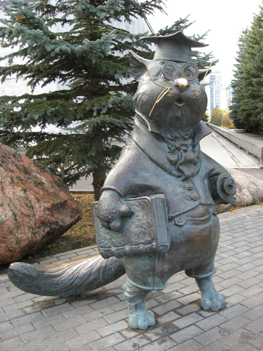 Кот учёный. Фото автора
