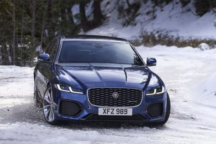 Перед чем-то смахивает на акулу