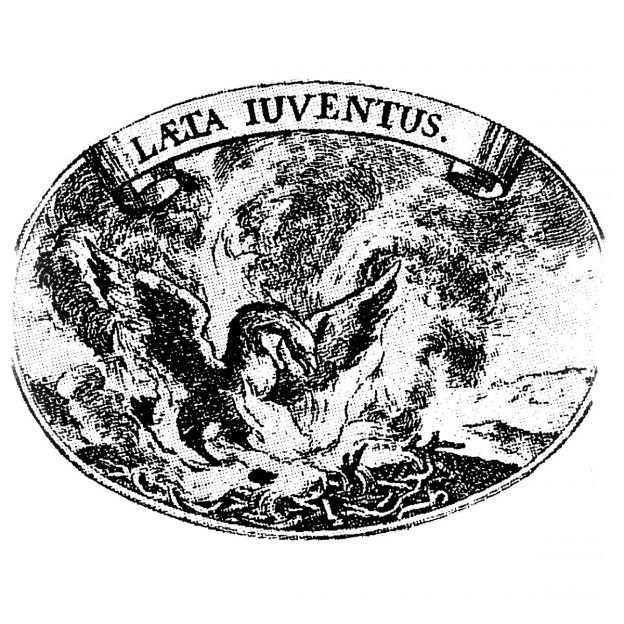 Феникс. Эмблема на меди. В. X. фон Хохберг, 1675 г 