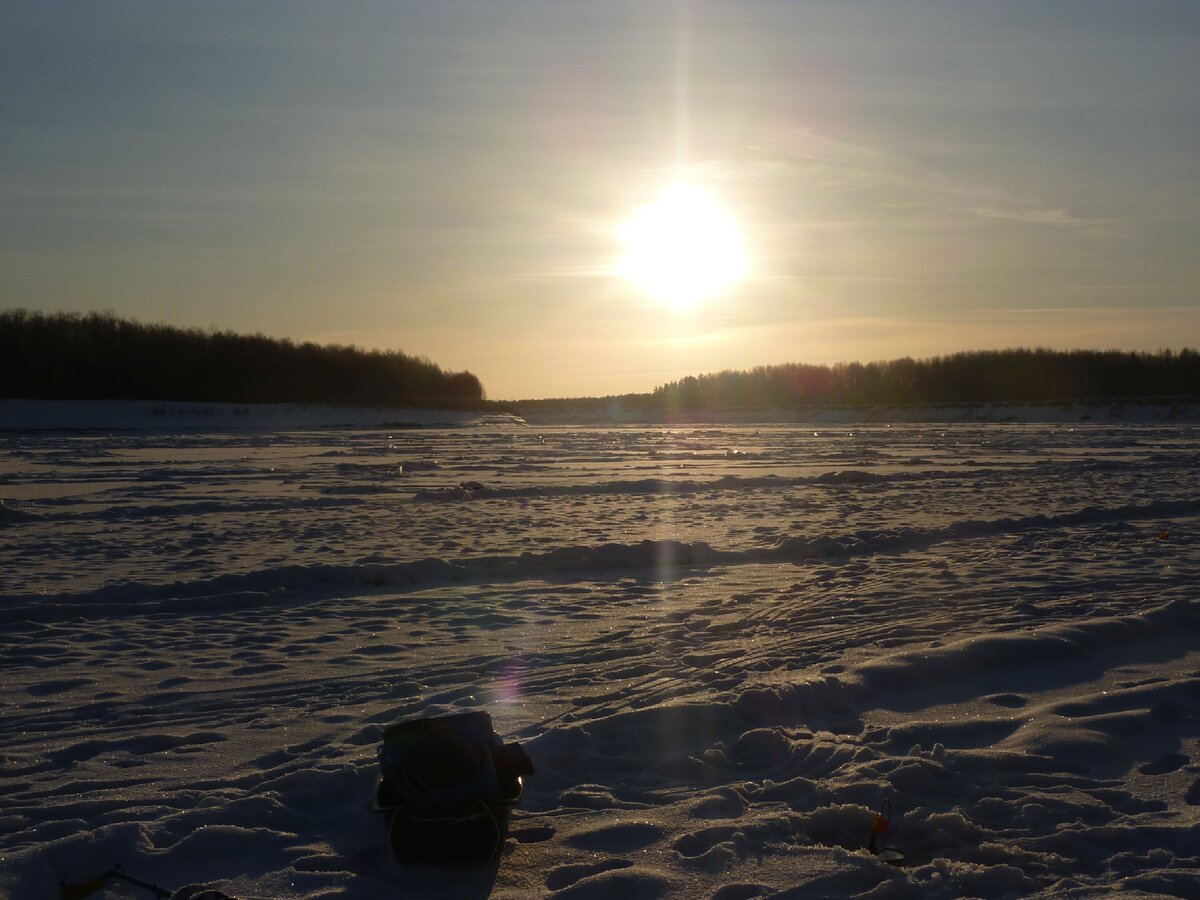 Р. Иртыш в районе Тобольска. Здесь водится разная рыба, но мы ловили щуку и окуня. Фото из личного архива.