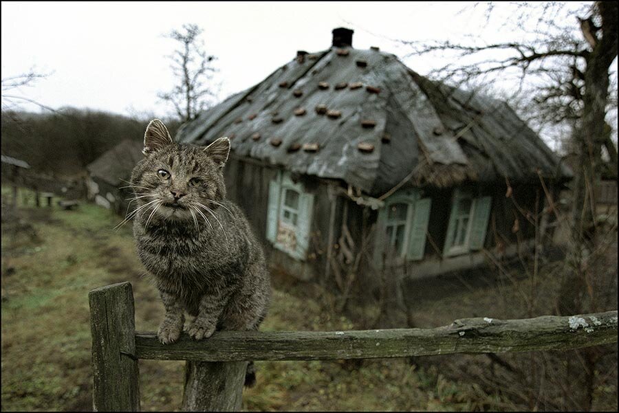 фото взято из открытого доступа
